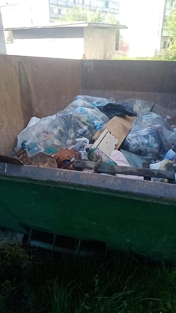 mormane de gunoi pe strada tineretului - primarul vrea să demoleze blocurile