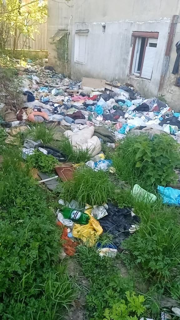 mormane de gunoi pe strada tineretului - primarul vrea să demoleze blocurile