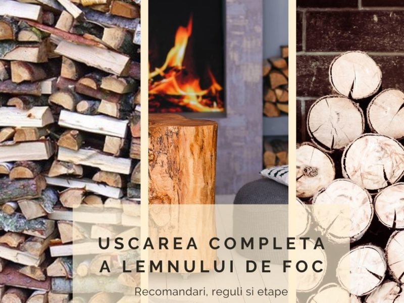 cat timp trebuie sa lasi lemnul la uscat inainte sa il pui pe foc?