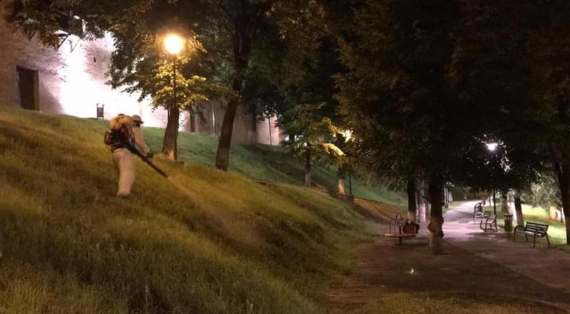 a început dezinsecția zonelor verzi din mediaș