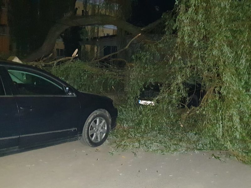 foto copac căzut peste două mașini pe strada george topârceanu