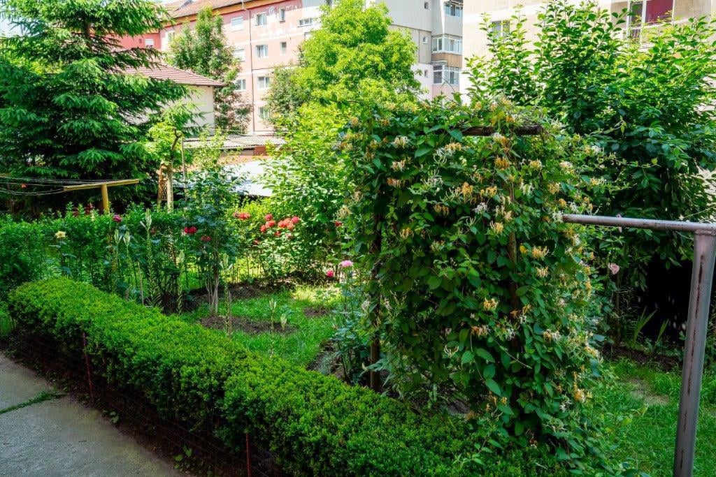 FOTO Tot mai mulți medieșeni se alătură concursului lansat de primărie pentru înfrumusețarea orașului 11 foto tot mai mulți medieșeni se alătură concursului lansat de primărie pentru înfrumusețarea orașului