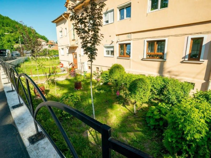 foto tot mai mulți medieșeni se alătură concursului lansat de primărie pentru înfrumusețarea orașului