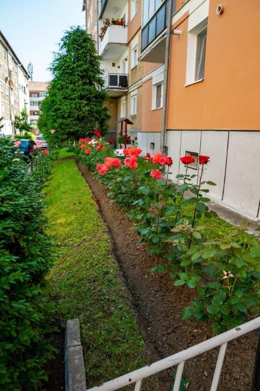 foto tot mai mulți medieșeni se alătură concursului lansat de primărie pentru înfrumusețarea orașului