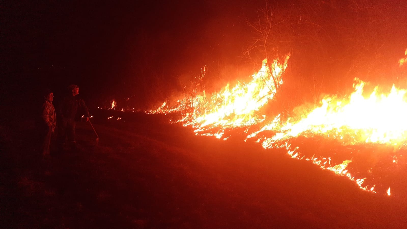 FOTO Incendiu puternic de vegetație dumincă seară la Curciu 2 foto incendiu puternic de vegetație dumincă seară la curciu