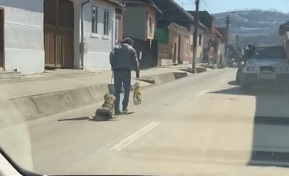 VIDEO Bărbat din Ighișul Nou, filmat cum târăște pe asfalt un câine legat cu o funie 2 video bărbat din ighișul nou, filmat cum târăște pe asfalt un câine legat cu o funie