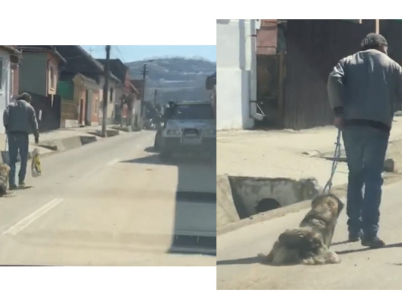 video bărbat din ighișul nou, filmat cum târăște pe asfalt un câine legat cu o funie