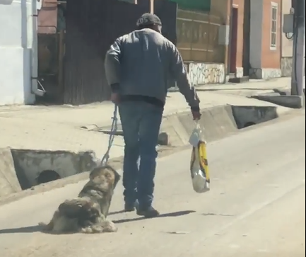 VIDEO Bărbat din Ighișul Nou, filmat cum târăște pe asfalt un câine legat cu o funie 3 video bărbat din ighișul nou, filmat cum târăște pe asfalt un câine legat cu o funie