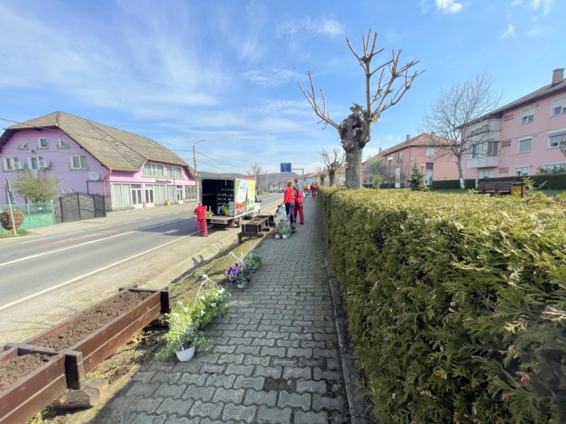 foto abia plantate, deja furate - primăria copșa mică vrea să monteze zeci de camere video în oraș