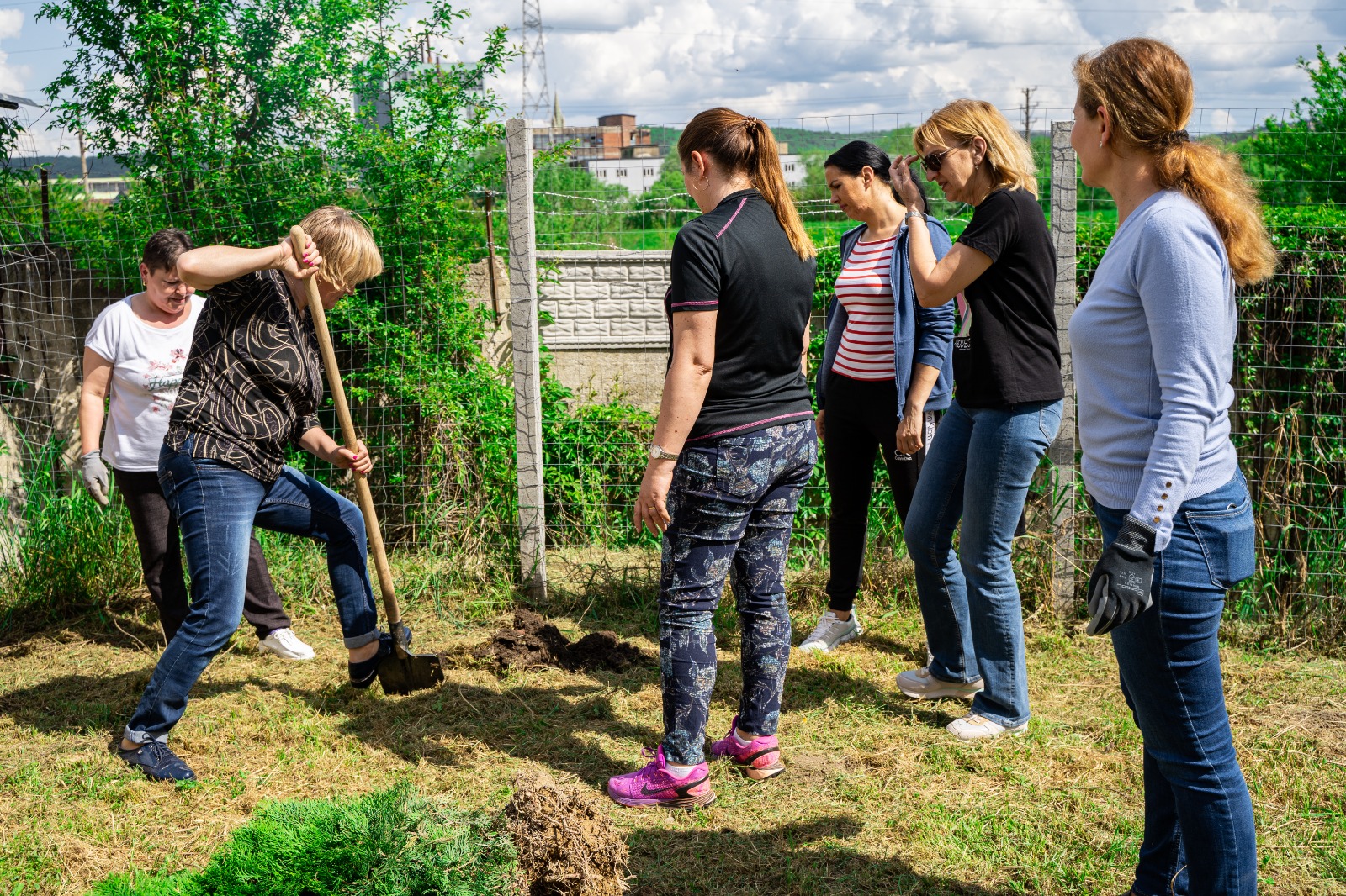 FOTO „Săptămâna Națională a Voluntariatului“ marcată și la Mediaș 2 foto „săptămâna națională a voluntariatului“ marcată și la mediaș