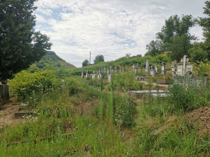 foto locuitorii din brateiu revoltați de cum arată cimitirul - ce spune administratorul