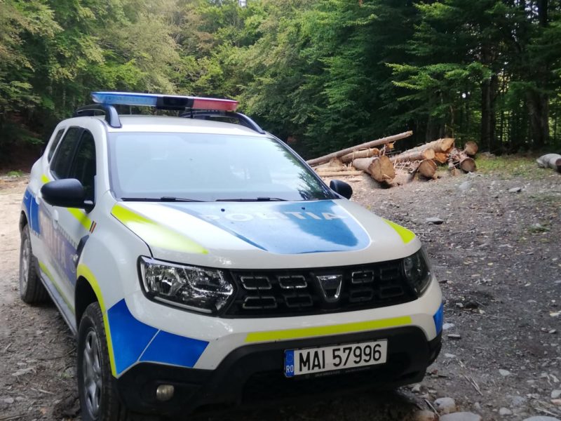 scutul pădurii în acțiune: amenzi de peste 55.000 de lei la nivelul județului sibiu