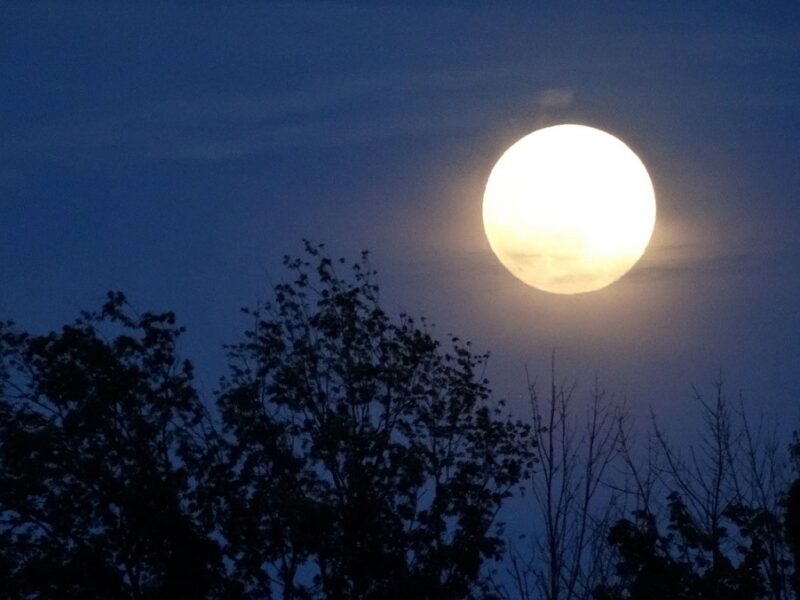 luna plină din 11 august este ultima superlună din 2022