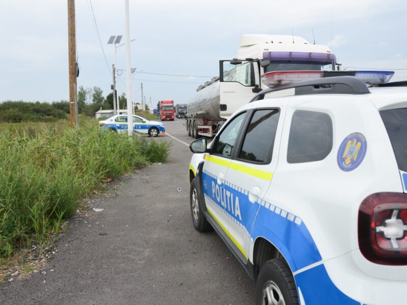 acțiune fulger pe drumurile din județul sibiu - zeci de șoferi au rămas fără permis de conducere