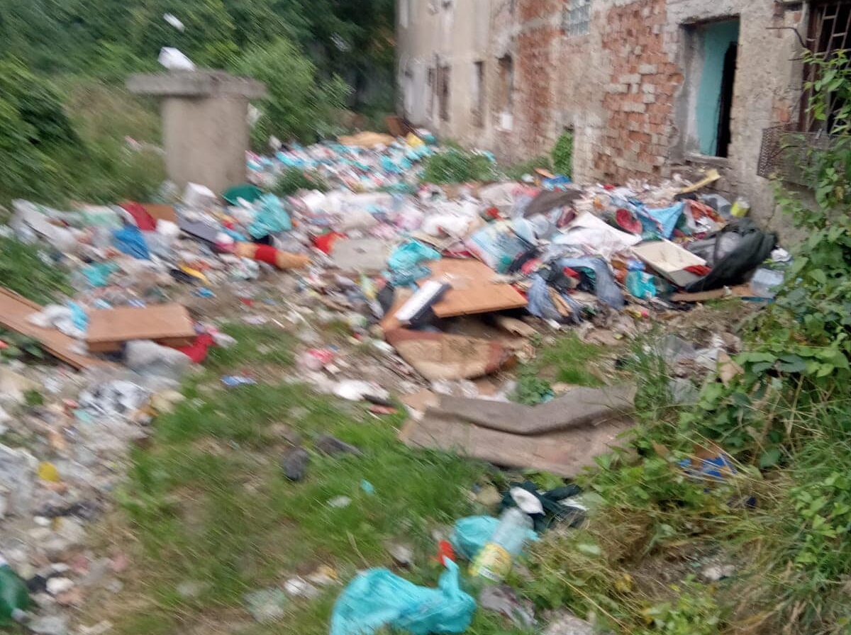 foto acțiune de curățenie pe strada tineretului - primarul gheorghe roman: ”rușine celor care produc atâta mizerie!”
