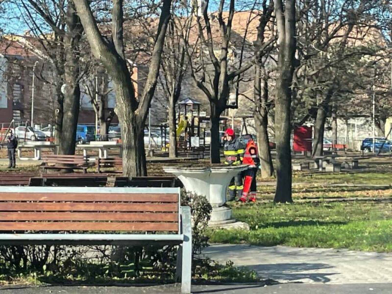 foto geantă suspectă într-un parc din sibiu - specialiștii sri și poliția sunt în zonă