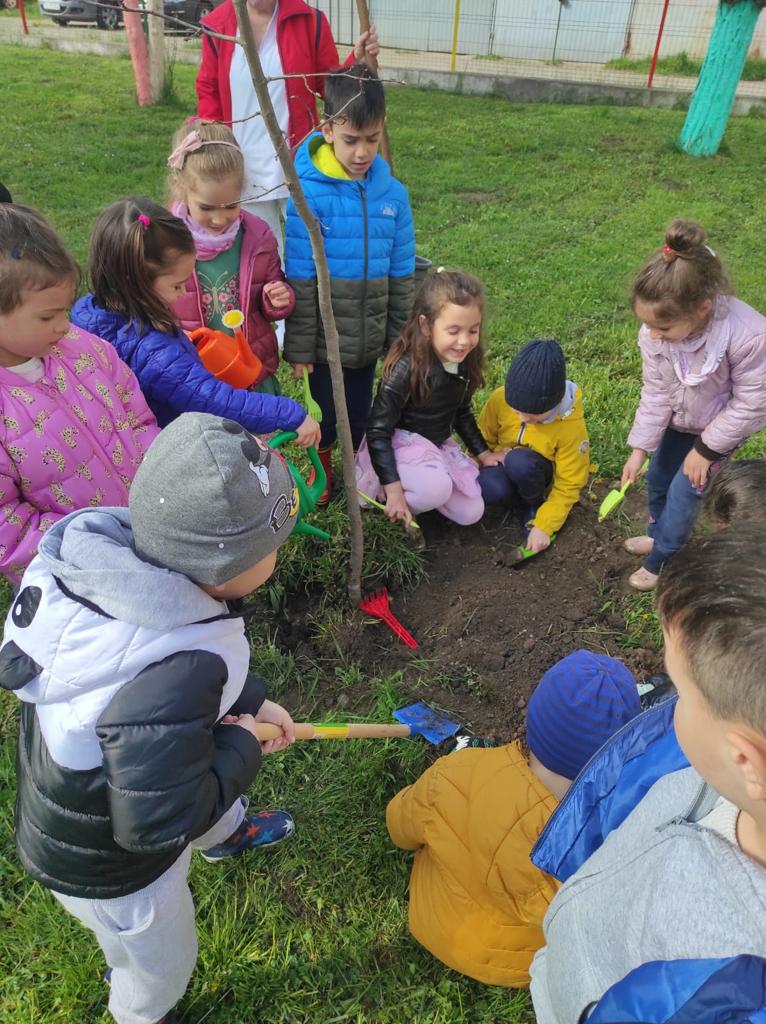 foto plantare de arbori la grădinițele medieșene