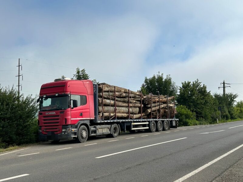 transport ilegal de lemne la dumbrăveni - încărcătura camionului, confiscată de poliție