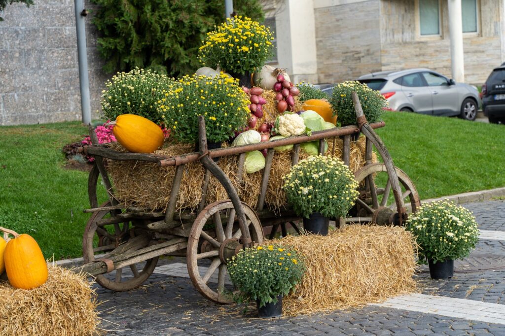 Produse locale și tradiții, de Ziua Recoltei la Mediaș. Au participat mii de medieșeni (galerie foto) 3 produse locale și tradiții, de ziua recoltei la mediaș. au participat mii de medieșeni (galerie foto)