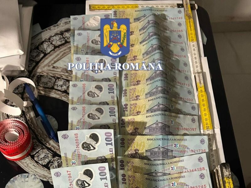 percheziții în trei județe, după furtul a 21 de vaci din sibiu