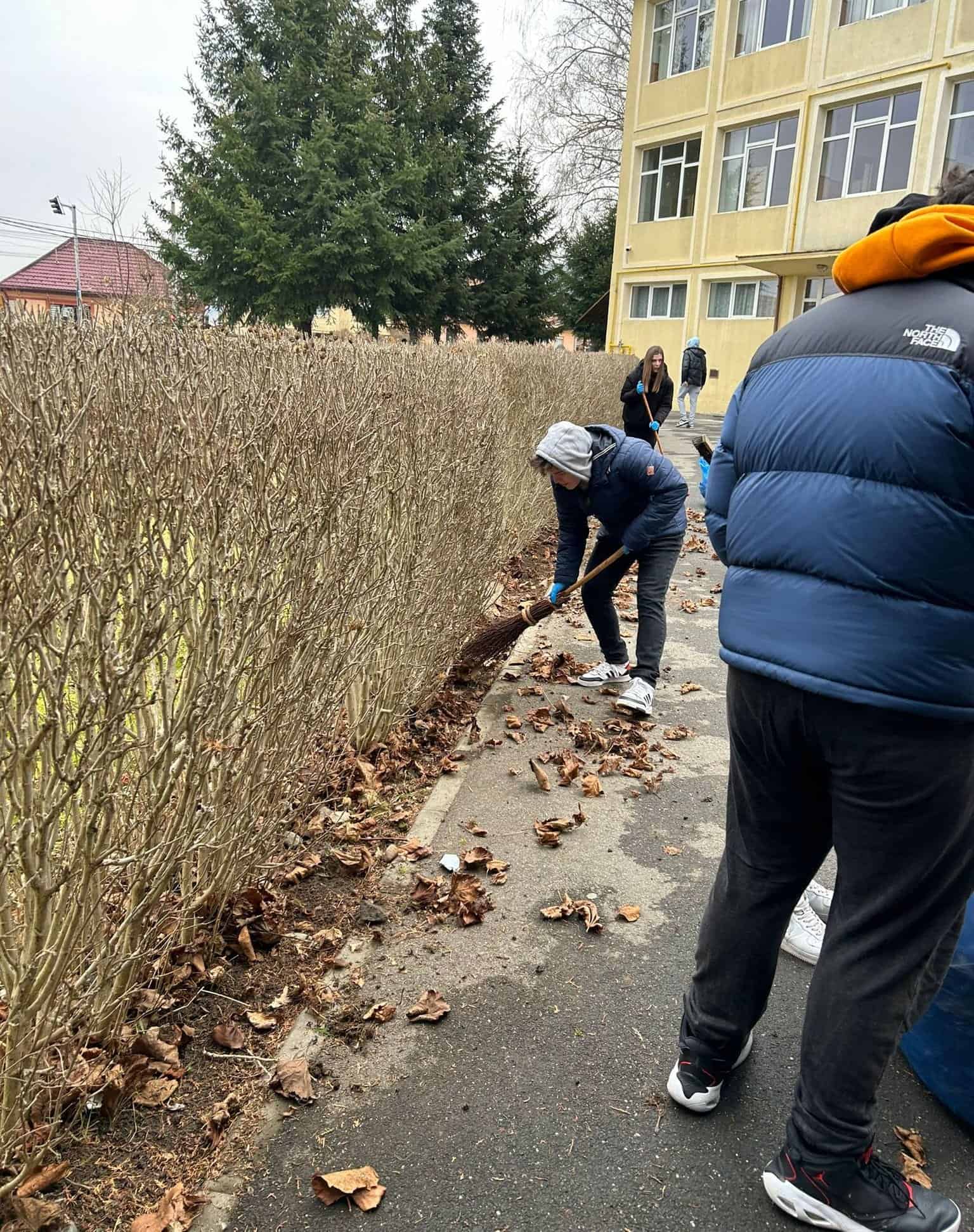 Elevii de la ”Axente Sever” au plantat zeci de flori și magnolii în curtea liceului (foto) 6 elevii de la ”axente sever” au plantat zeci de flori și magnolii în curtea liceului (foto)