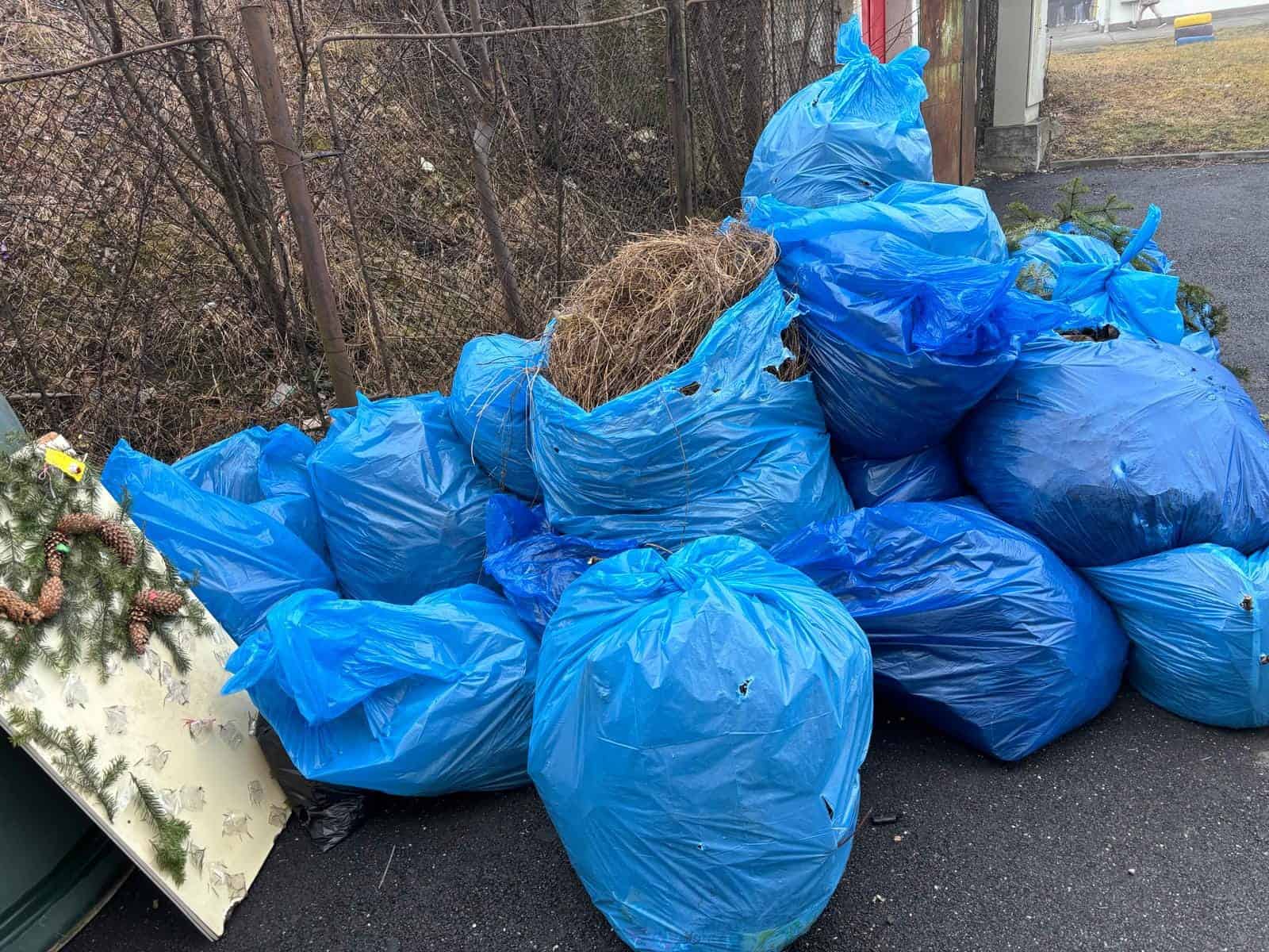 Elevii de la ”Axente Sever” au plantat zeci de flori și magnolii în curtea liceului (foto) 9 elevii de la ”axente sever” au plantat zeci de flori și magnolii în curtea liceului (foto)