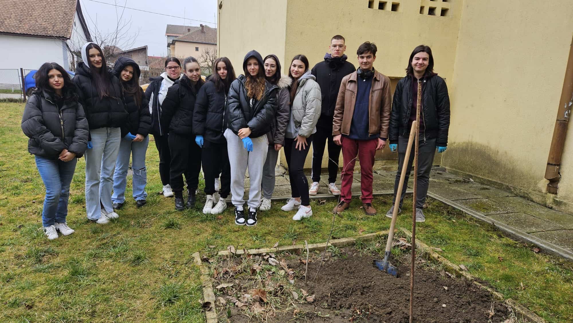 Elevii de la ”Axente Sever” au plantat zeci de flori și magnolii în curtea liceului (foto) 8 elevii de la ”axente sever” au plantat zeci de flori și magnolii în curtea liceului (foto)