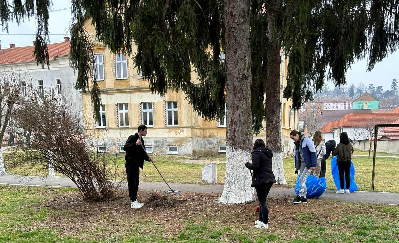 Elevii de la ”Axente Sever” au plantat zeci de flori și magnolii în curtea liceului (foto) 2 elevii de la ”axente sever” au plantat zeci de flori și magnolii în curtea liceului (foto)
