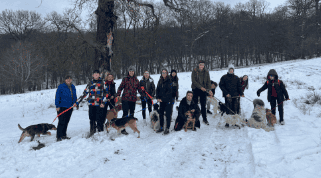 Cercetașii de la Turre Pitz Mediaș aleargă pentru a îmbunătăți viața câinilor abandonați 2 cercetașii de la turre pitz mediaș aleargă pentru a îmbunătăți viața câinilor abandonați