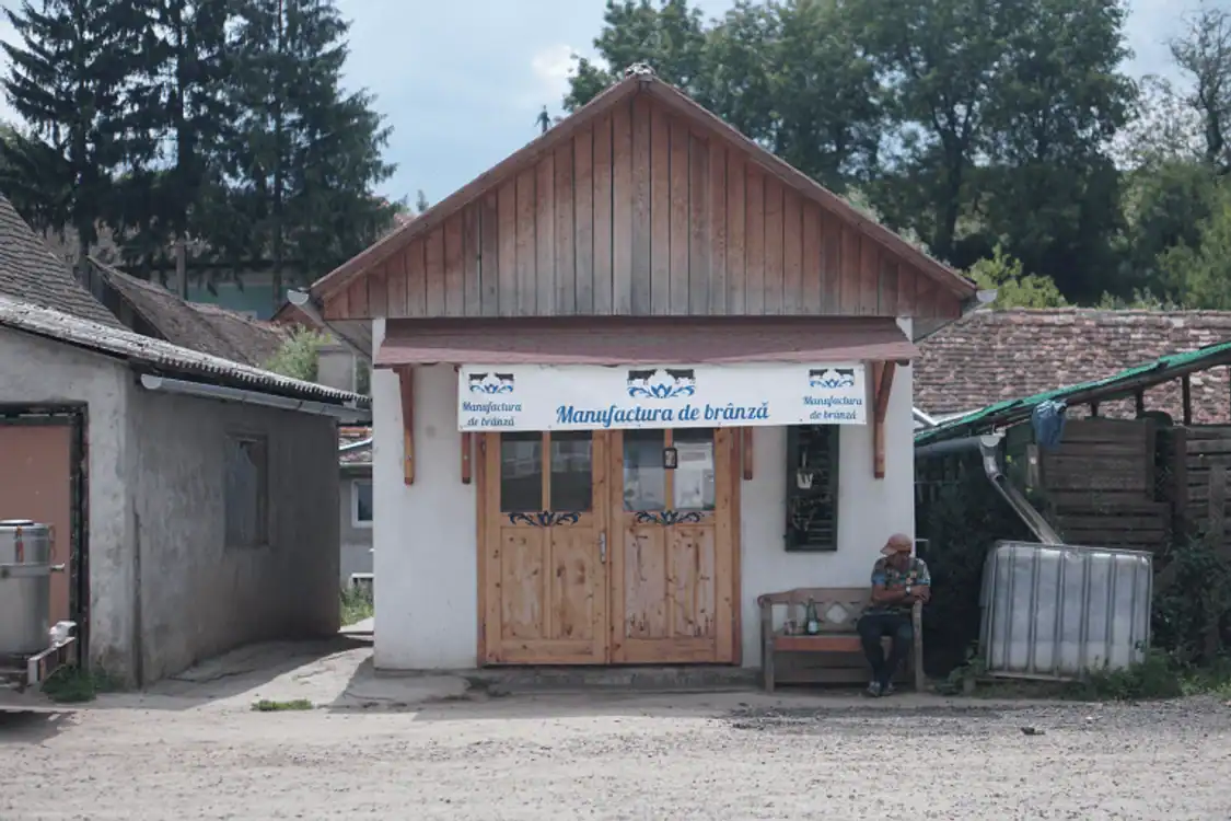 Satul din România în care un maghiar face brânză elevețiană. Se află la 30 de kilometri de Mediaș 2 satul din românia în care un maghiar face brânză elevețiană. se află la 30 de kilometri de mediaș
