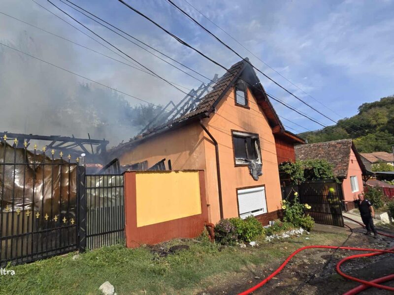 incendiu în moșna: o casă distrusă și 15 animale moarte din cauza unei afumători necorespunzătoare (foto)