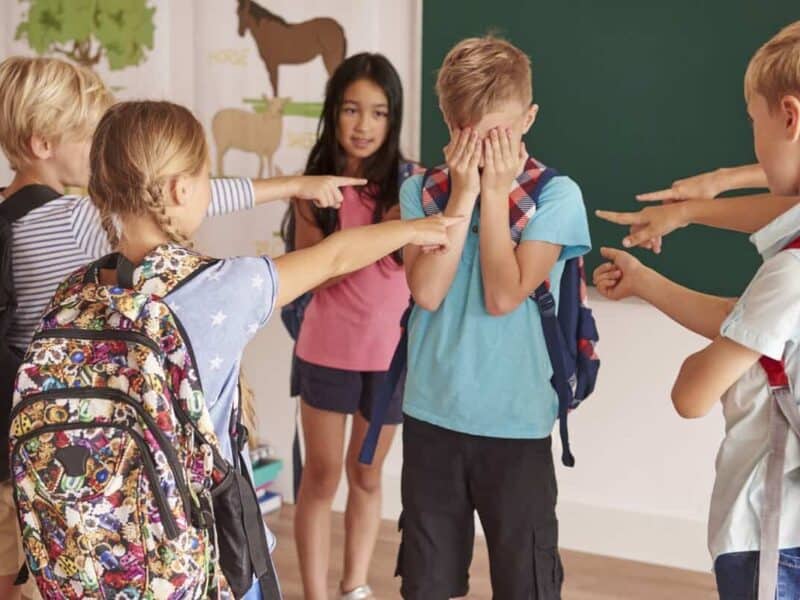 obstacole pentru directorii care doresc să prevină bullying-ul în școlile din sibiu: necesitatea întocmirii unei documentații detaliate.