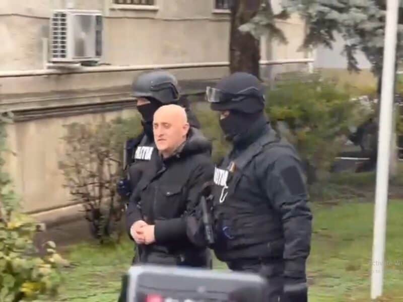 motivul pentru care potra s-ar fi îndreptat spre bucurești înarmat: noi dezvăluiri