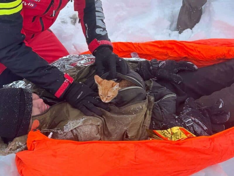 refugiat ucrainean salvat din munții maramureșului, cu pisica la piept timp de 11 zile (video și foto)