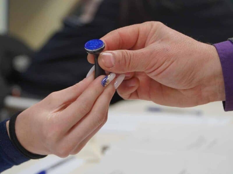 alegeri parlamentare 2024: exit poll-ul de la ora 17.00 indică o schimbare între locurile 2 și 3, cu un partid pro-european în creștere.