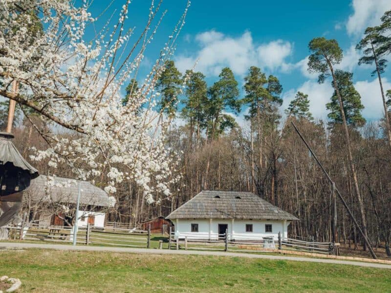 previziunile meteo pentru luna februarie: temperaturi înalte și precipitații reduse