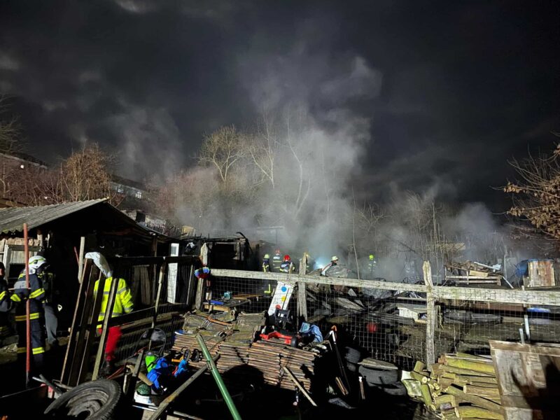 incendiul de la copșa mică a avut ca uimitoare cauză moartea unui ponei (foto)
