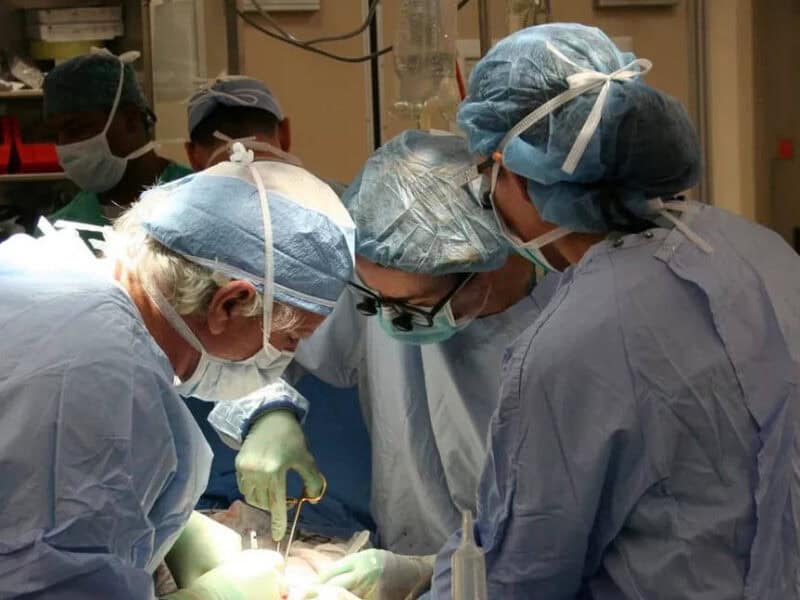 prelevări multiple de organe la începutul anului 2025: opt români au primit o nouă șansă la viață