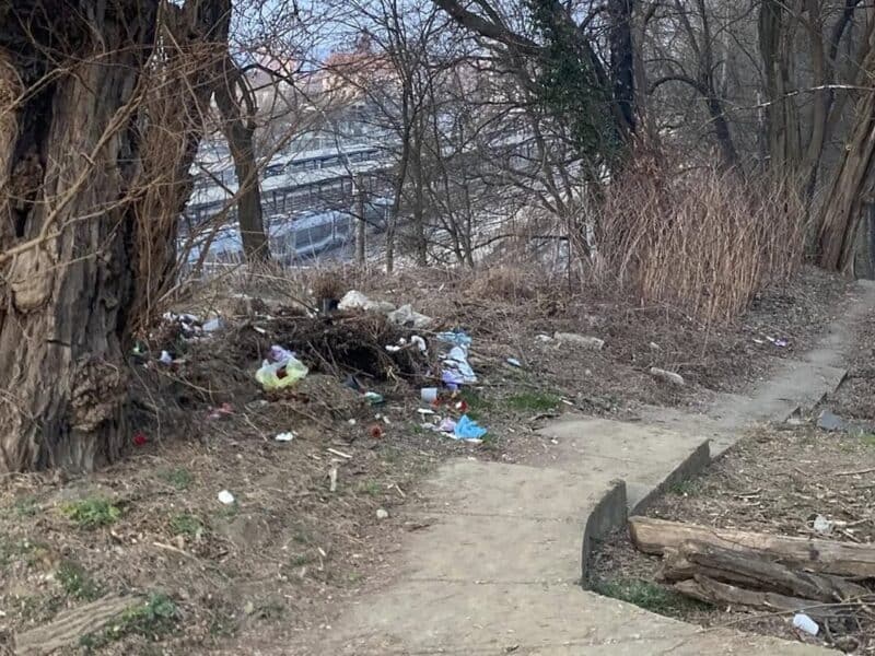 mizerie extremă în pădurile din apropierea mediașului (foto)