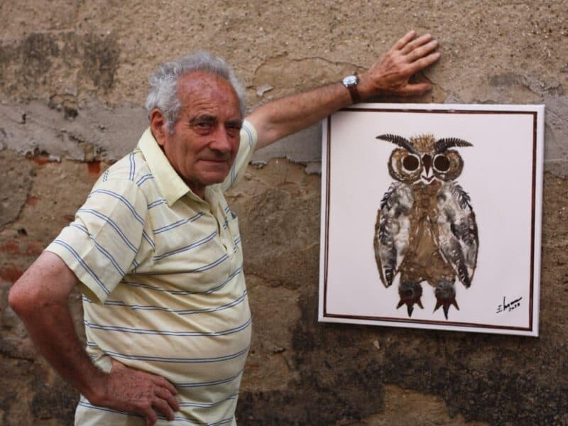 pânze de păianjen reinterpretate ca opere de artă într-o expoziție specială la turnul pietrarilor din mediaș (foto)