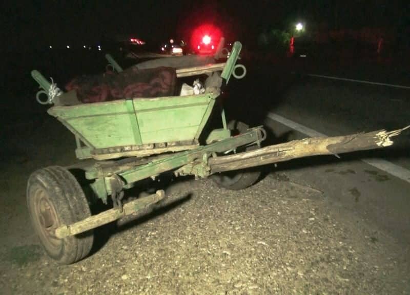 accident în laslea: o căruță a fost lovită de un camion, iar opt copii au fost transportați la spital.