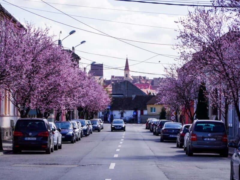 prognoza meteo pe patru săptămâni: temperaturi mai ridicate decât media obișnuită.
