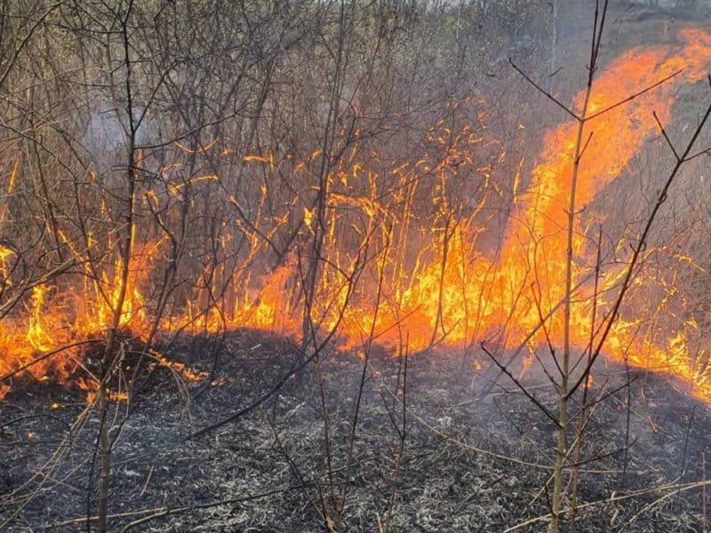 un bărbat descoperit decedat într-un incendiu de vegetație din județul vâlcea