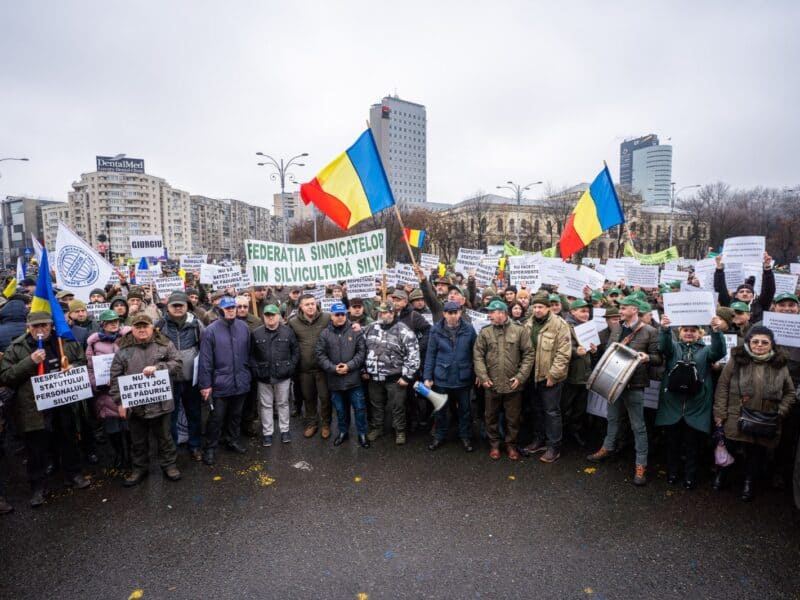 silvicultorii protestează în fața sediului guvernului din cauza reducerii salariilor (video)