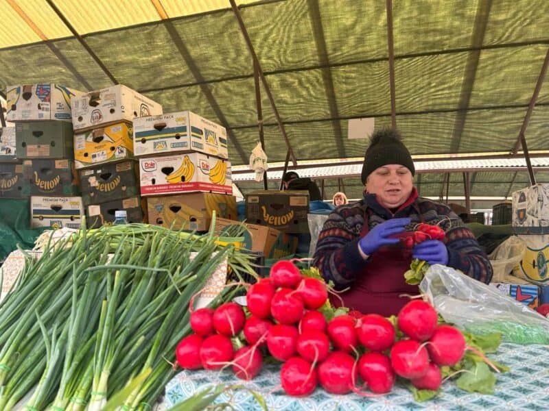 verdețurile de primăvară au sosit în piața cibin. vreți să știți cât costă o salată de sezon? (foto video)