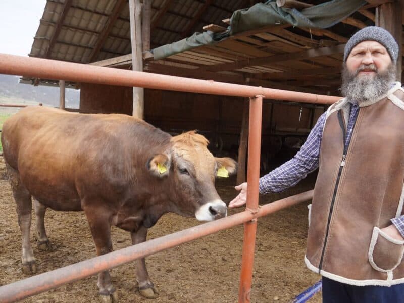 satul din sibiu renumit pentru brânzeturile deosebite, unde un preot a înființat o fermă cu vaci maramureșene (foto)