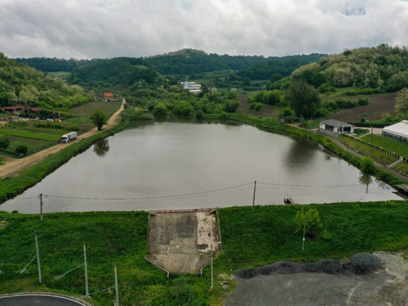 pescuitul în lacul heleșteu din mediaș este interzis temporar.