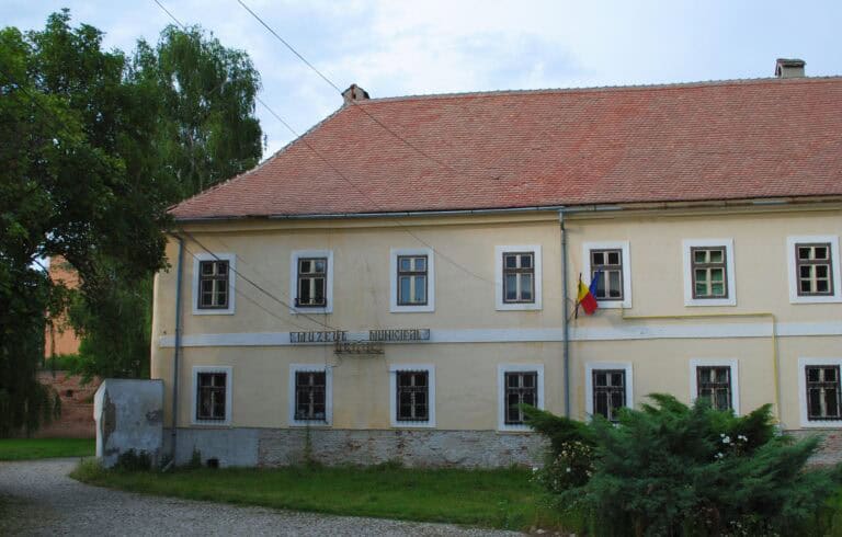 expoziție temporară de arte plastice la muzeul municipal din mediaș: invitație la expresie, fantezie și culoare în simbioză.