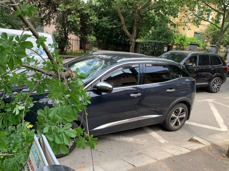 vântul provoacă pagube în sibiu și mediaș. un copac a strivit o mașină - foto