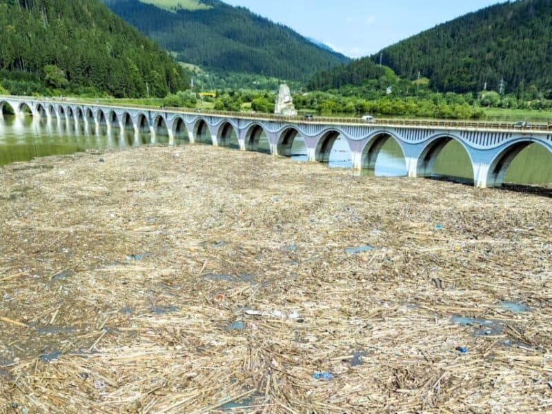 imagini alarmante la barajul bicaz: lemnul adus de viitură a acoperit lacul – video
